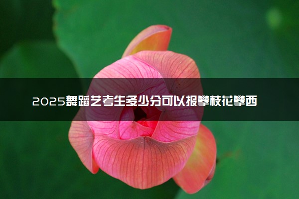 2025舞蹈艺考生多少分可以报攀枝花攀西职业学院