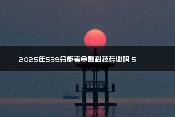 2025年539分能考金融科技专业吗 539分金融科技专业大学推荐