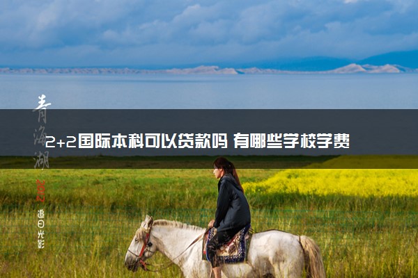 2+2国际本科可以贷款吗 有哪些学校学费便宜