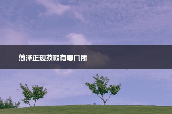 菏泽正规技校有哪几所