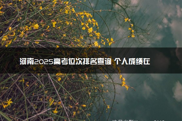 河南2025高考位次排名查询 个人成绩在全省排名怎么查