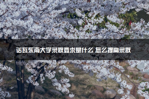 诺瓦东南大学录取要求是什么 怎么提高录取率