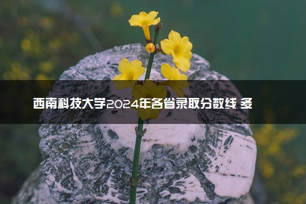 西南科技大学2024年各省录取分数线 多少分能考上