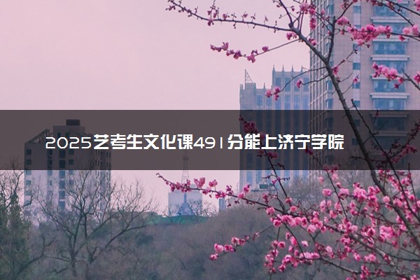 2025艺考生文化课491分能上济宁学院吗
