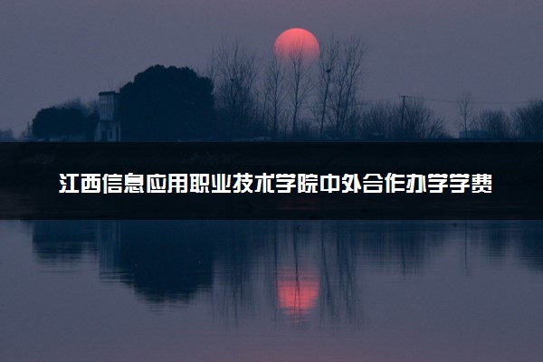 江西信息应用职业技术学院中外合作办学学费多少钱 各专业收费标准