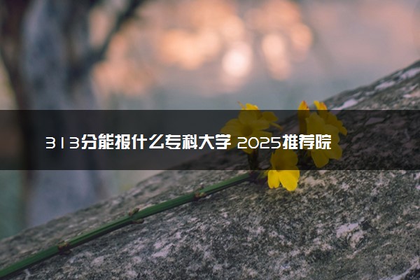 313分能报什么专科大学 2025推荐院校