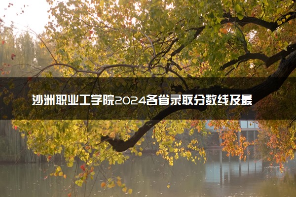沙洲职业工学院2024各省录取分数线及最低位次是多少