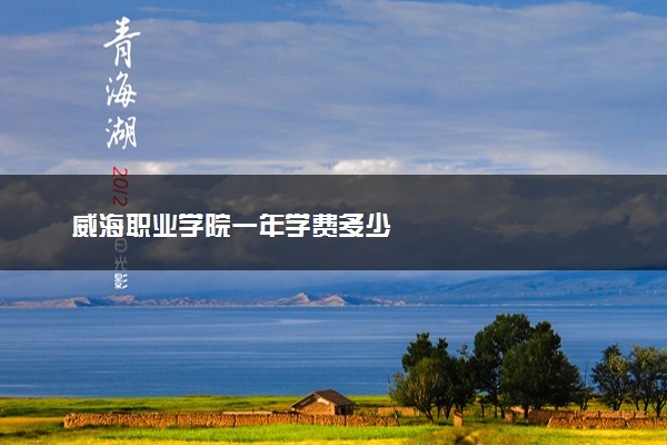 威海职业学院一年学费多少