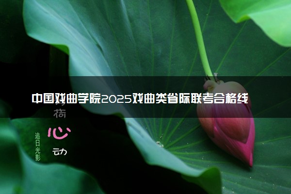 中国戏曲学院2025戏曲类省际联考合格线公布 分数线是多少