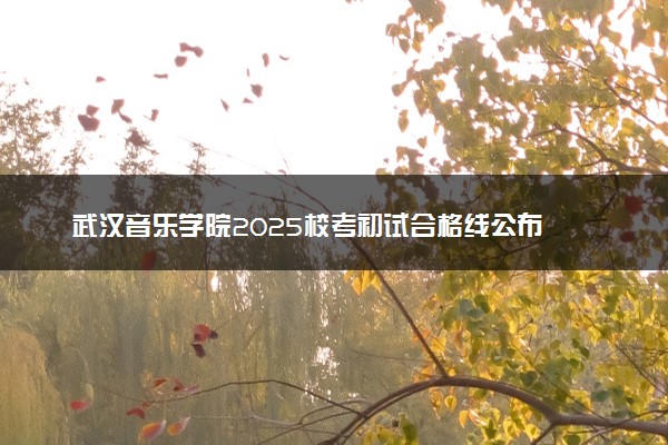 武漢音樂學院2025?？汲踉嚭细窬€公布 各專業分數線匯總