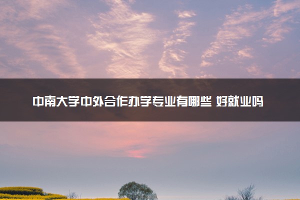 中南大学中外合作办学专业有哪些 好就业吗