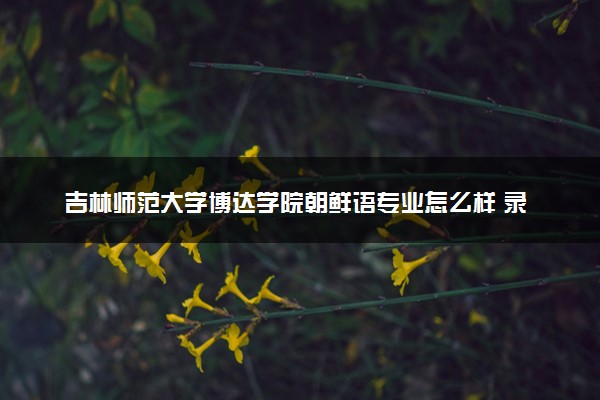 吉林师范大学博达学院朝鲜语专业怎么样 录取分数线多少