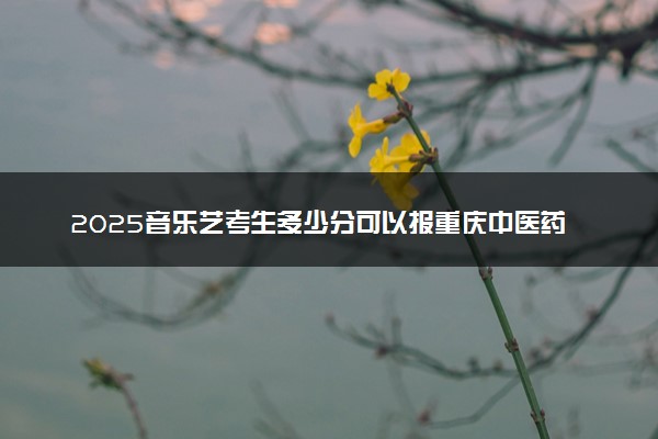 2025音乐艺考生多少分可以报重庆中医药学院