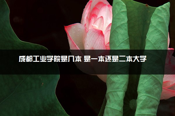 成都工业学院是几本 是一本还是二本大学